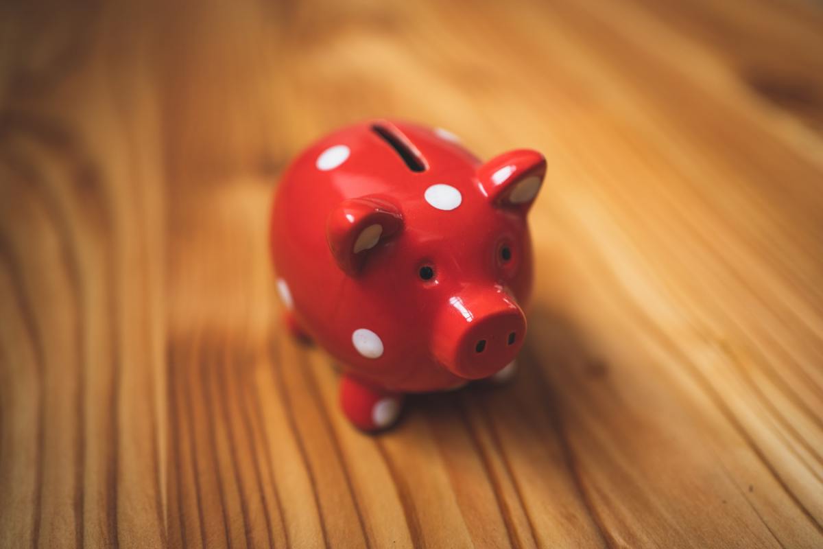 A piggy bank; a symbol of frugal spending.